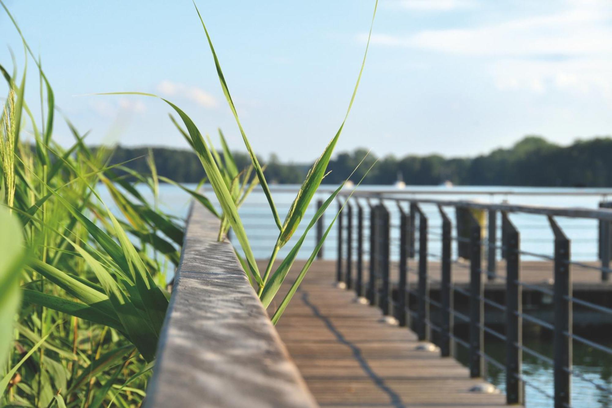 S2 Fewo In Bad Saarow, Seestr 2 Ngoại thất bức ảnh